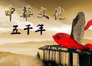 行走在傳播中國文化的道路上