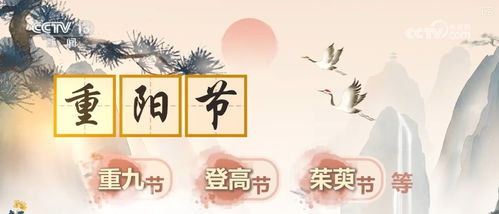 文化中國(guó)行 何以重陽(yáng) 180秒看 新 變